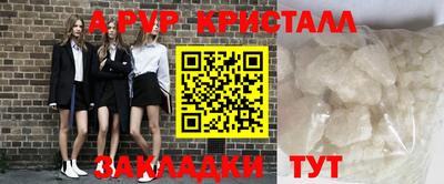 стаф Кингисепп