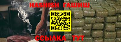 стаф Кингисепп